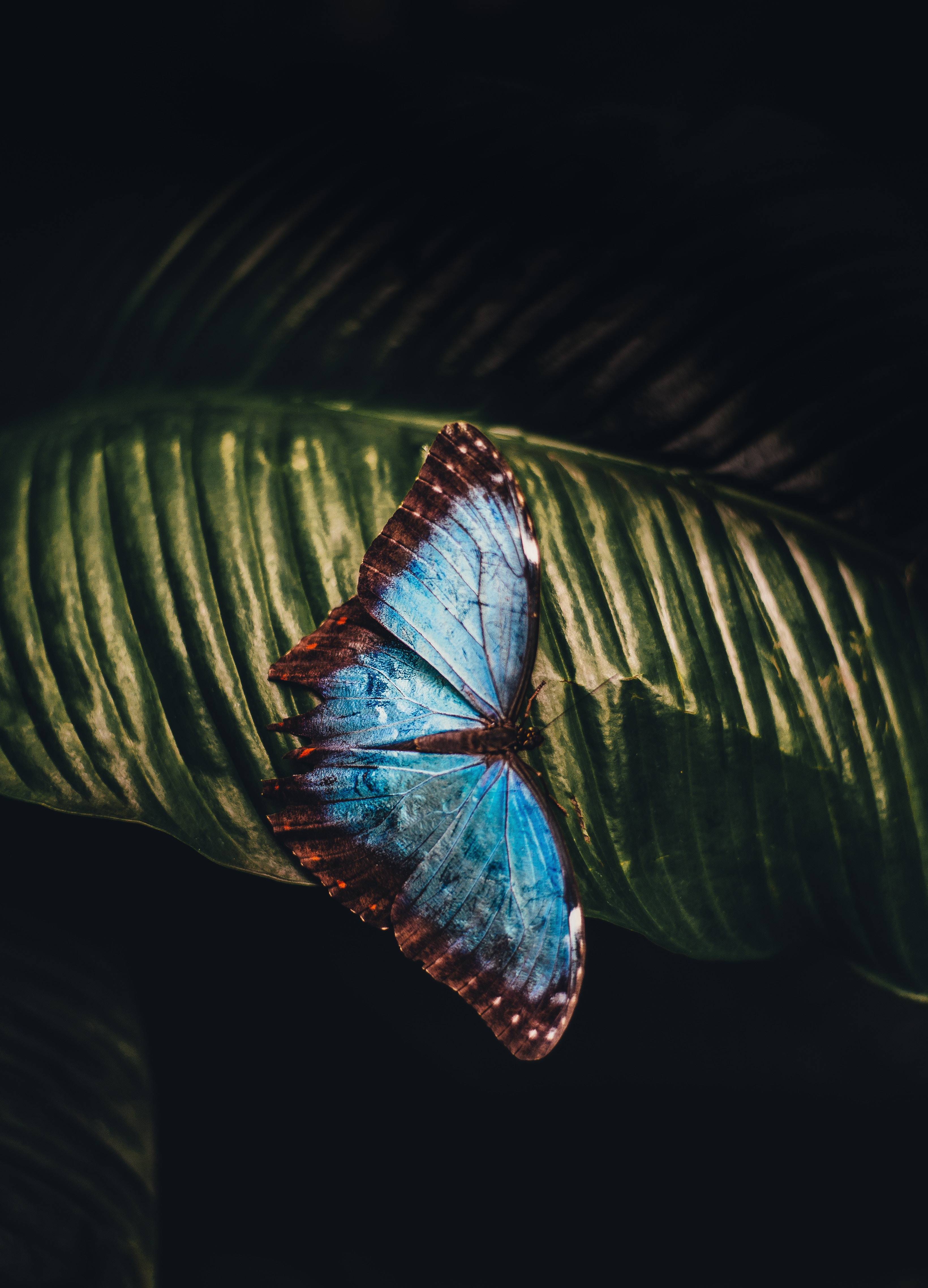 annie-spratt-199474-unsplash