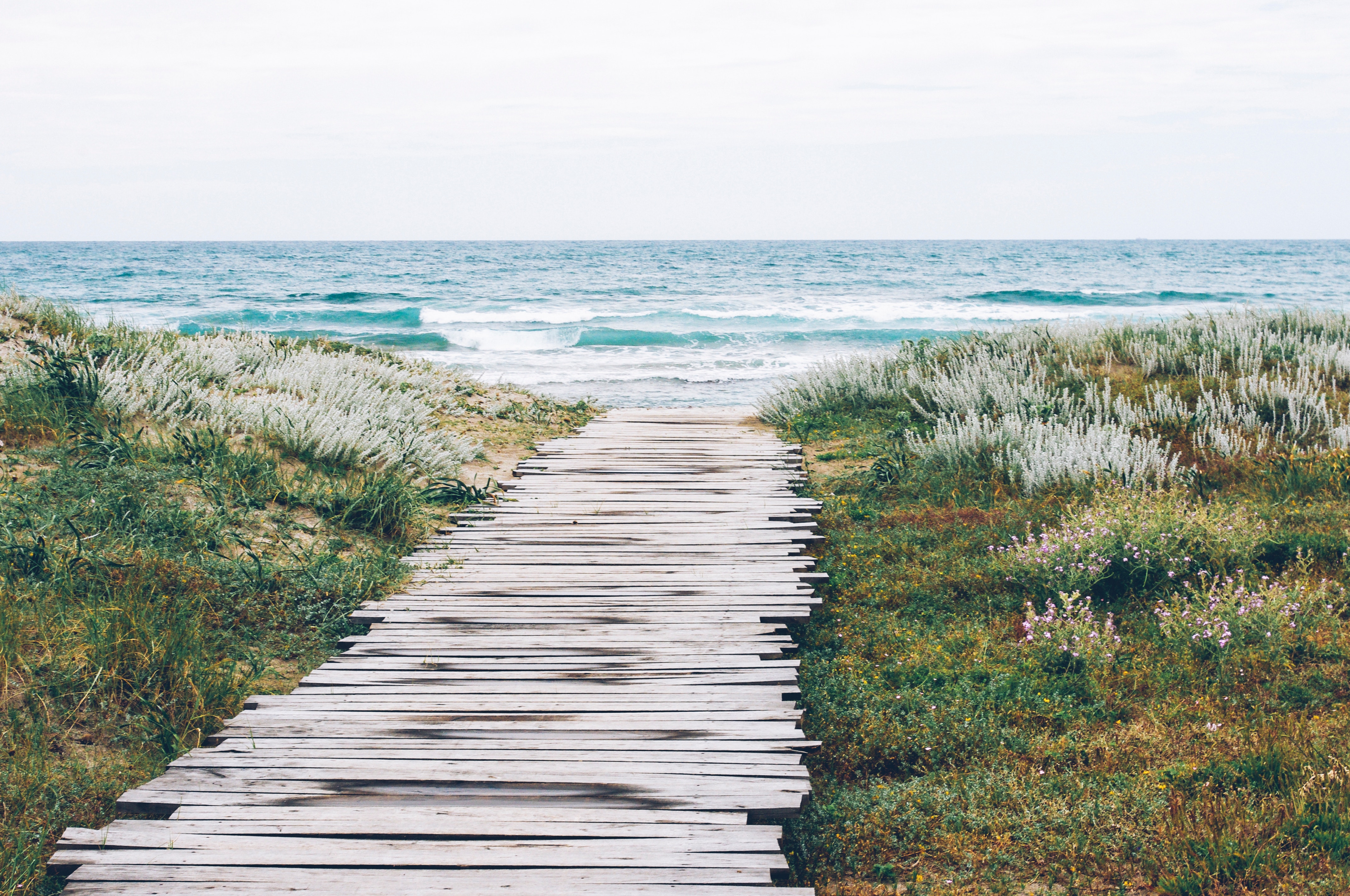 aleksandra-boguslawska-509-unsplash